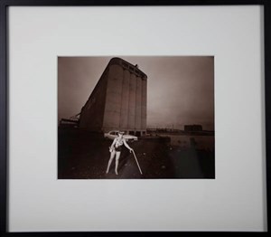 Image description is not available for 2008.053